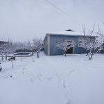 Kirayə (günlük) 4 otaqlı Həyət evi/villa İsmayıllı 4