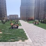 Продажа 3 комнатная Новостройка, пос. Ясамал, Круг Гябяля, Ясамал район 14