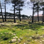 Satılır Torpaq Xırdalan 4