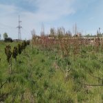 Продажа Участок Хачмаз 126