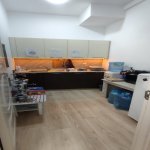 Kirayə (aylıq) 7 otaqlı Ofis, 28 May metrosu, Nəsimi rayonu 12