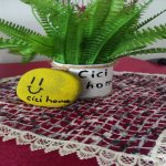 Kirayə (günlük) 3 otaqlı Həyət evi/villa Qusar 15