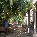 Satılır 3 otaqlı Bağ evi, Binə qəs., Xəzər rayonu 1