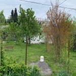 Аренда 1 комнат Дома/Виллы Огуз 7