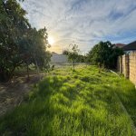 Продажа Участок, Новханы, Абшерон район 7