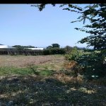 Satılır 3 otaqlı Həyət evi/villa Oğuz 5