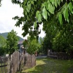 Kirayə (günlük) 3 otaqlı Həyət evi/villa Zaqatala 12