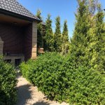Продажа 10 комнат Дома/Виллы, м. Короглу метро, пос. Билгях, Сабунчу район 13