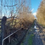 Satılır Torpaq Oğuz 15