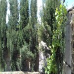 Satılır 6 otaqlı Həyət evi/villa, Bilgəh qəs., Sabunçu rayonu 10