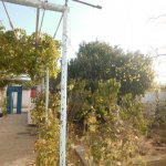 Продажа 5 комнат Дома/Виллы, Бузовна, Хязяр район 6