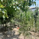 Продажа 5 комнатная Дома/Виллы, м. Короглу метро, пос. Сабунчу, Сабунчу район 10