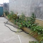 Satılır 3 otaqlı Həyət evi/villa, Binəqədi qəs., Binəqədi rayonu 7