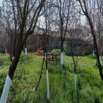 Satılır Torpaq, Novxanı, Abşeron rayonu 3