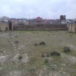 Satılır Torpaq, Goradil, Abşeron rayonu 4