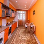 Kirayə (aylıq) 2 otaqlı Yeni Tikili, 28 May metrosu, Nəsimi rayonu 14