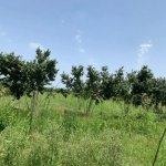 Satılır Torpaq Xaçmaz 3