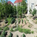 Satılır Torpaq Sumqayıt 1