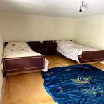 Satılır 5 otaqlı Həyət evi/villa Şamaxı 11