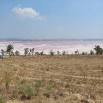 Satılır Torpaq, Masazır, Abşeron rayonu 3