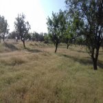 Satılır Torpaq, Masazır, Abşeron rayonu 8