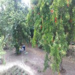 Satılır 3 otaqlı Həyət evi/villa Xırdalan 1