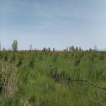 Продажа Участок Хачмаз 16