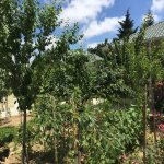 Satılır 6 otaqlı Bağ evi, Mərdəkan, Xəzər rayonu 21