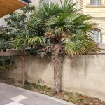 Satılır 4 otaqlı Həyət evi/villa, Qara Qarayev metrosu, Nizami rayonu 5