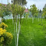 Продажа 5 комнат Дома/Виллы, Сабунчу район 12