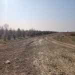Satılır Torpaq, Baş Ələt qəs., Qaradağ rayonu 1