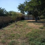 Satılır Torpaq, Novxanı, Abşeron rayonu 4