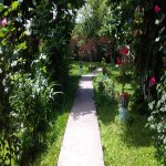 Kirayə (günlük) 2 otaqlı Həyət evi/villa Qəbələ 6