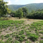 Satılır Torpaq Qax 12