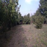Satılır Torpaq Qəbələ 2