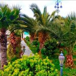 Kirayə (aylıq) 10 otaqlı Bağ evi, Mərdəkan, Xəzər rayonu 5