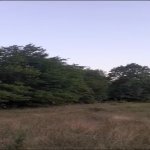 Продажа Участок Гябяля 1