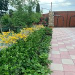 Kirayə (aylıq) 5 otaqlı Bağ evi, Mərdəkan, Xəzər rayonu 6