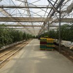 Продажа Объект, Фатмаи, Абшерон район 9