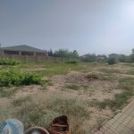 Satılır Torpaq, Goradil, Abşeron rayonu 2