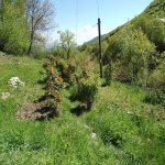 Satılır 3 otaqlı Həyət evi/villa İsmayıllı 15