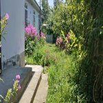 Kirayə (günlük) 3 otaqlı Həyət evi/villa Qəbələ 2