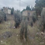 Продажа Участок, пос. Бюльбуля, Сураханы район 7