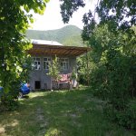 Kirayə (günlük) 4 otaqlı Bağ evi Şəki 27