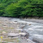 Kirayə (günlük) 4 otaqlı Həyət evi/villa Qax 21