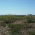 Satılır Torpaq, Maştağa qəs., Sabunçu rayonu 3