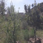 Satılır 2 otaqlı Bağ evi, Sabunçu rayonu 7