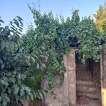 Satılır 3 otaqlı Bağ evi, Digah, Abşeron rayonu 13