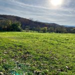 Satılır Torpaq Qusar 12