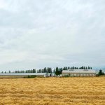 Продажа Объект Хачмаз 6